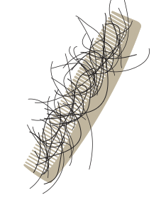 Hair loss comb